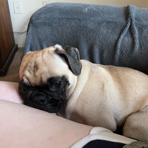 Meet your Posher, Ikia